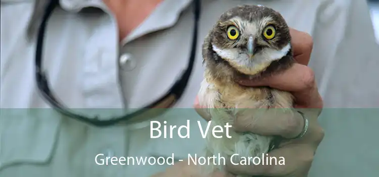 Bird Vet Greenwood - North Carolina