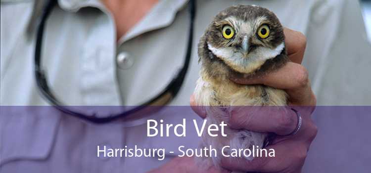Bird Vet Harrisburg - South Carolina