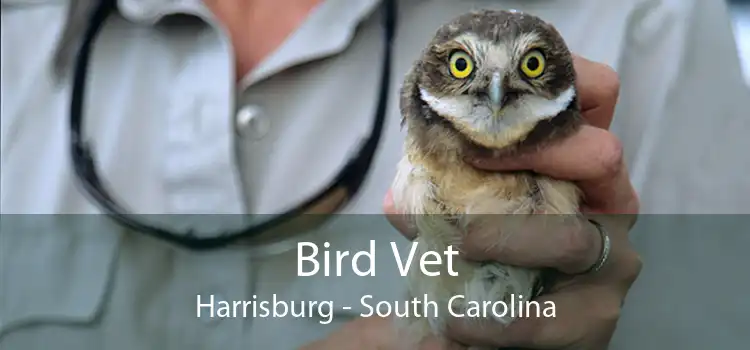 Bird Vet Harrisburg - South Carolina