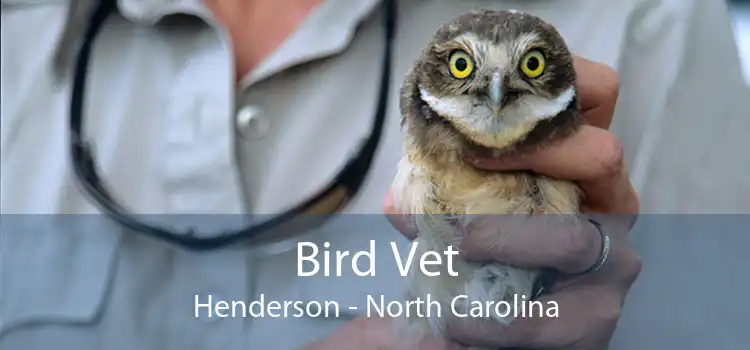 Bird Vet Henderson - North Carolina