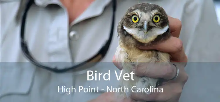 Bird Vet High Point - North Carolina