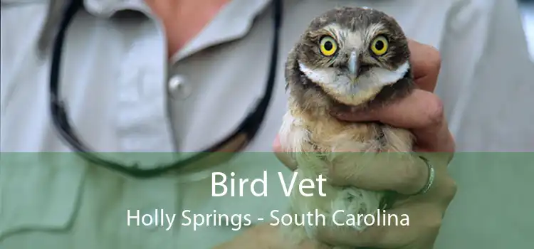 Bird Vet Holly Springs - South Carolina