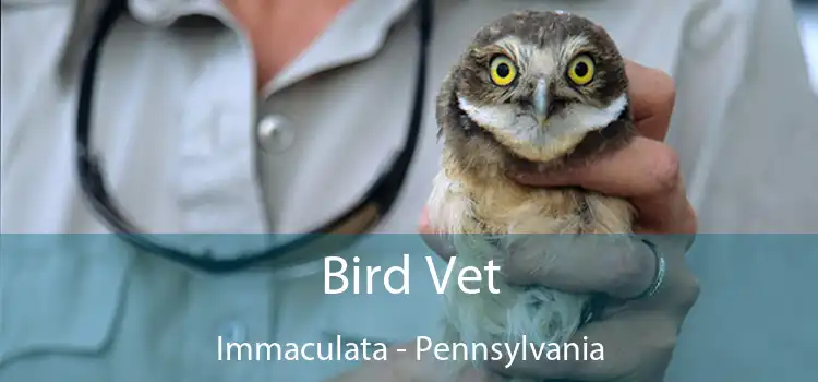 Bird Vet Immaculata - Pennsylvania