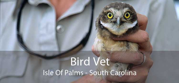 Bird Vet Isle Of Palms - South Carolina