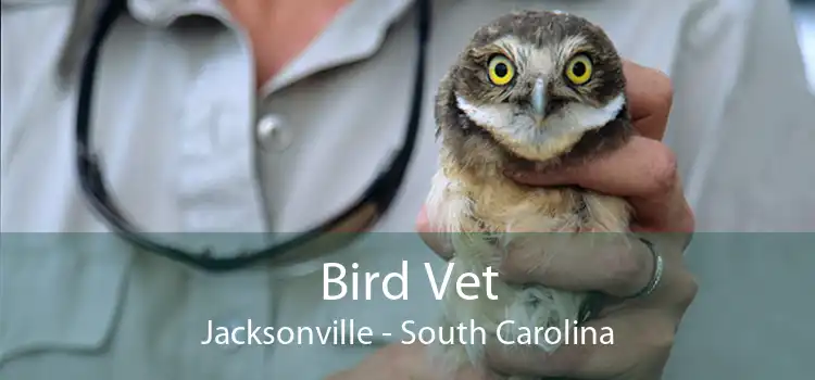 Bird Vet Jacksonville - South Carolina