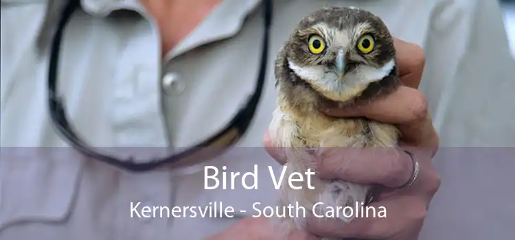 Bird Vet Kernersville - South Carolina