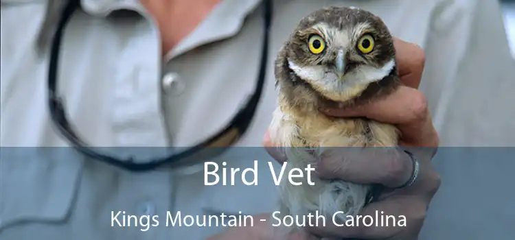 Bird Vet Kings Mountain - South Carolina