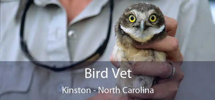 Bird Vet Kinston - North Carolina
