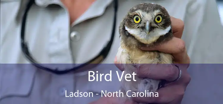 Bird Vet Ladson - North Carolina