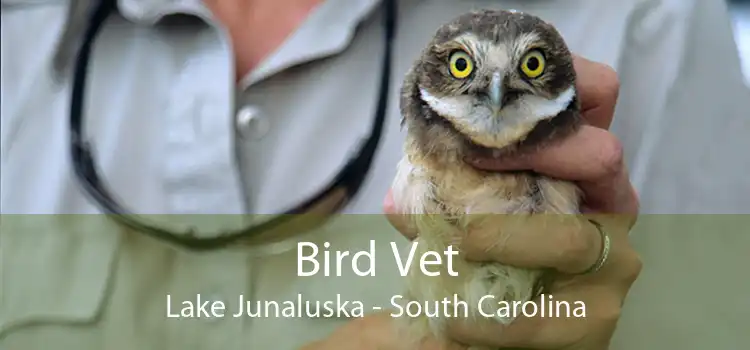 Bird Vet Lake Junaluska - South Carolina