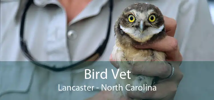 Bird Vet Lancaster - North Carolina