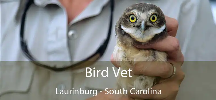Bird Vet Laurinburg - South Carolina