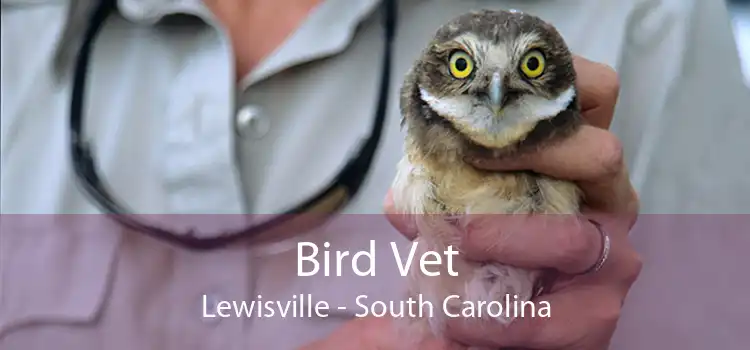 Bird Vet Lewisville - South Carolina