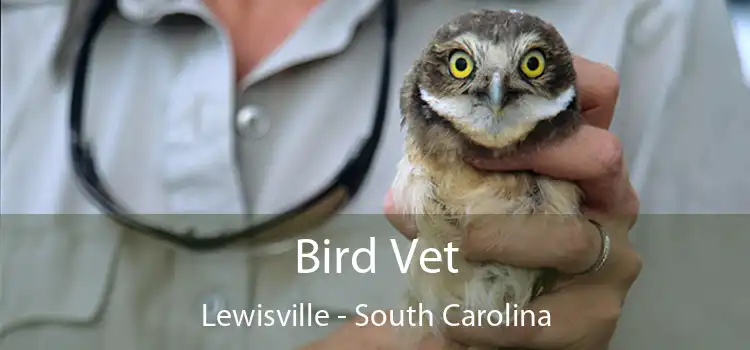 Bird Vet Lewisville - South Carolina