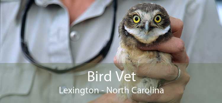 Bird Vet Lexington - North Carolina