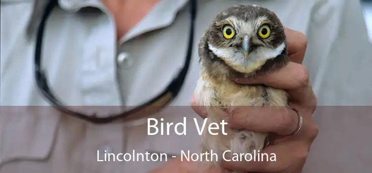 Bird Vet Lincolnton - North Carolina
