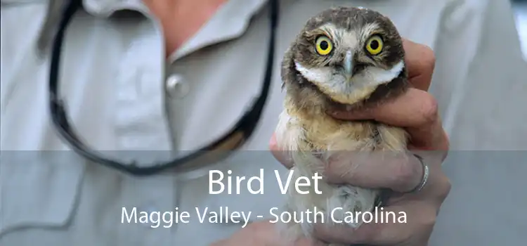 Bird Vet Maggie Valley - South Carolina