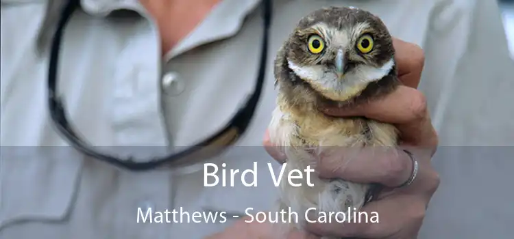 Bird Vet Matthews - South Carolina
