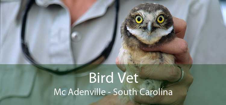 Bird Vet Mc Adenville - South Carolina