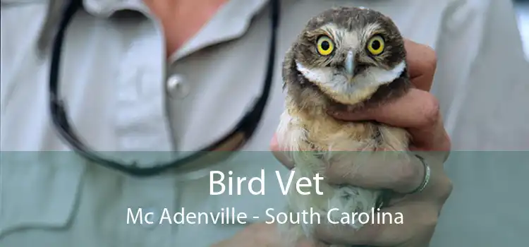 Bird Vet Mc Adenville - South Carolina