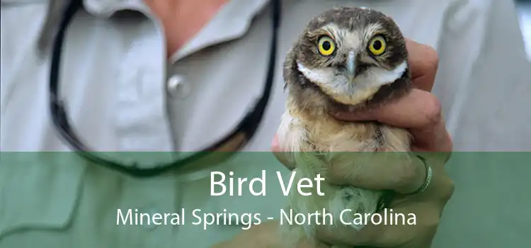 Bird Vet Mineral Springs - North Carolina