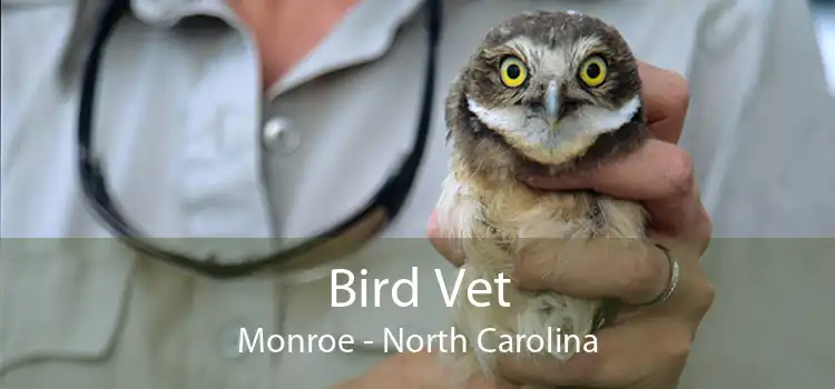 Bird Vet Monroe - North Carolina