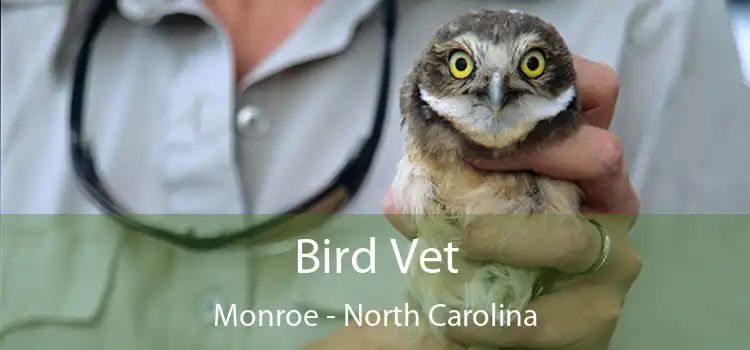 Bird Vet Monroe - North Carolina