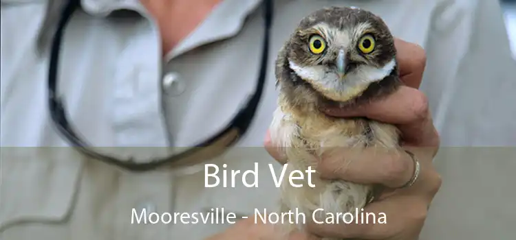 Bird Vet Mooresville - North Carolina