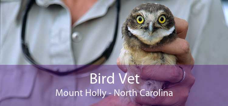 Bird Vet Mount Holly - North Carolina