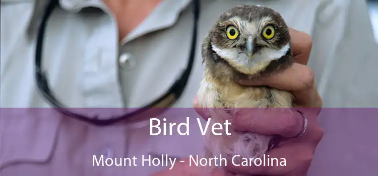 Bird Vet Mount Holly - North Carolina