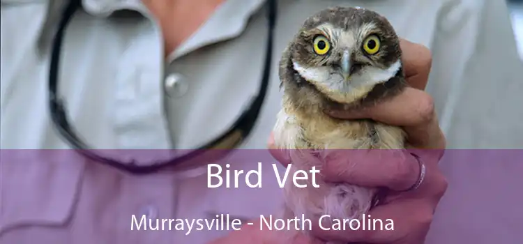 Bird Vet Murraysville - North Carolina