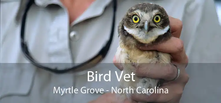 Bird Vet Myrtle Grove - North Carolina
