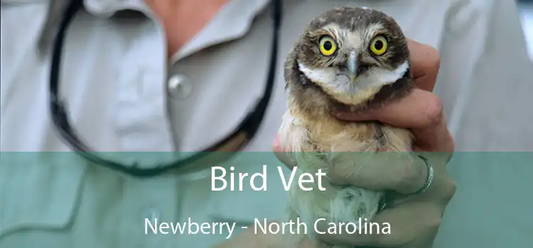 Bird Vet Newberry - North Carolina