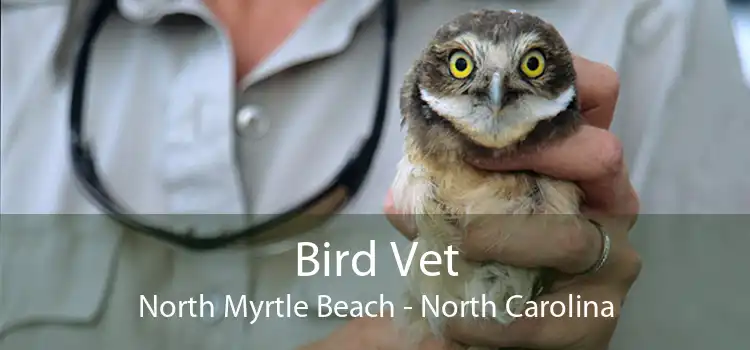 Bird Vet North Myrtle Beach - North Carolina