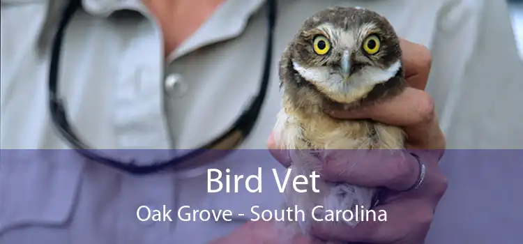 Bird Vet Oak Grove - South Carolina