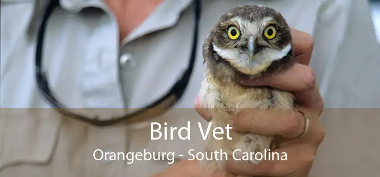 Bird Vet Orangeburg - South Carolina