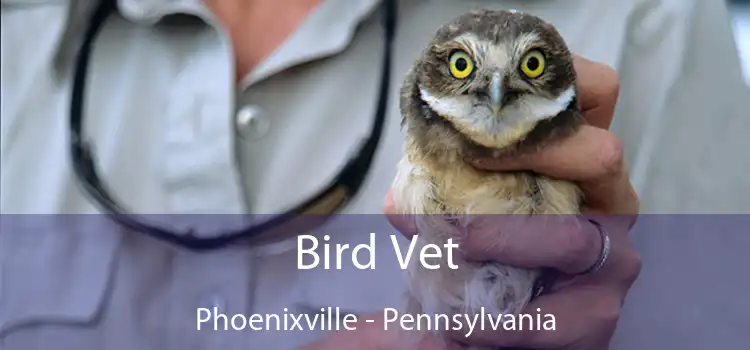 Bird Vet Phoenixville - Pennsylvania