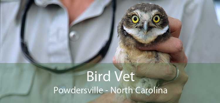 Bird Vet Powdersville - North Carolina