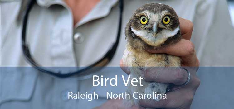 Bird Vet Raleigh - North Carolina