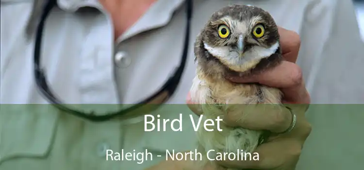 Bird Vet Raleigh - North Carolina