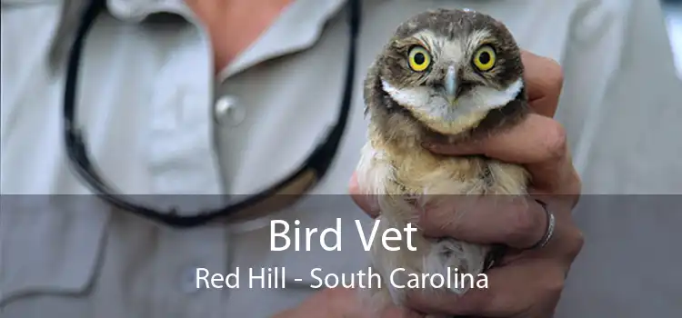 Bird Vet Red Hill - South Carolina