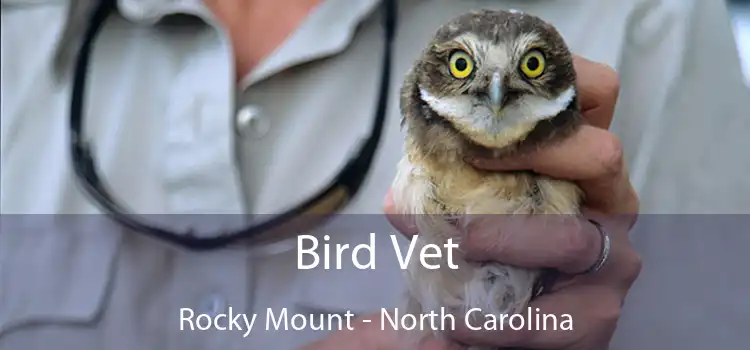 Bird Vet Rocky Mount - North Carolina