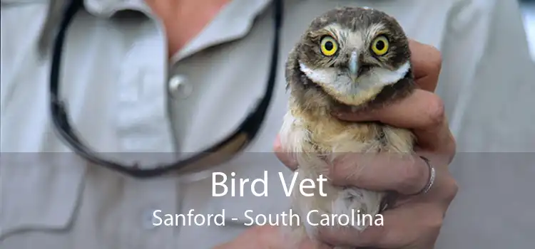 Bird Vet Sanford - South Carolina