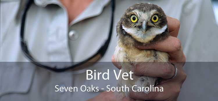 Bird Vet Seven Oaks - South Carolina