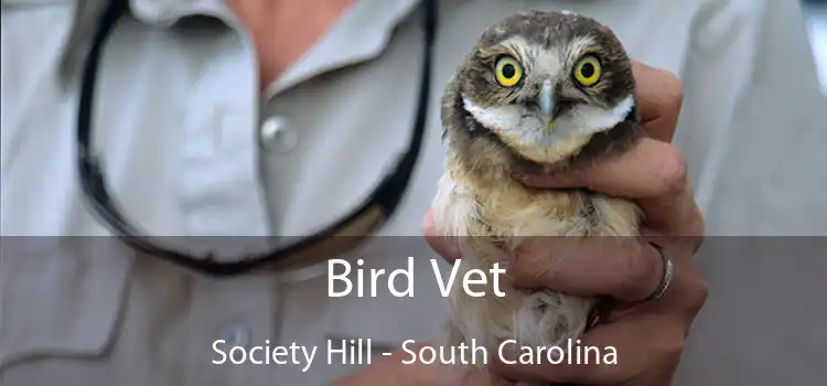 Bird Vet Society Hill - South Carolina