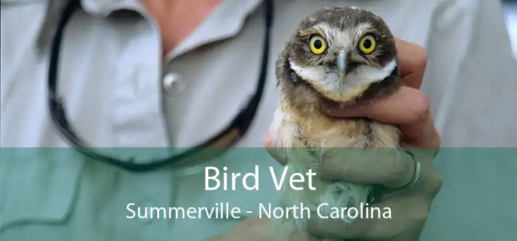 Bird Vet Summerville - North Carolina