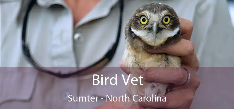Bird Vet Sumter - North Carolina