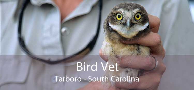 Bird Vet Tarboro - South Carolina