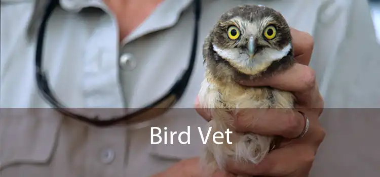 Bird Vet