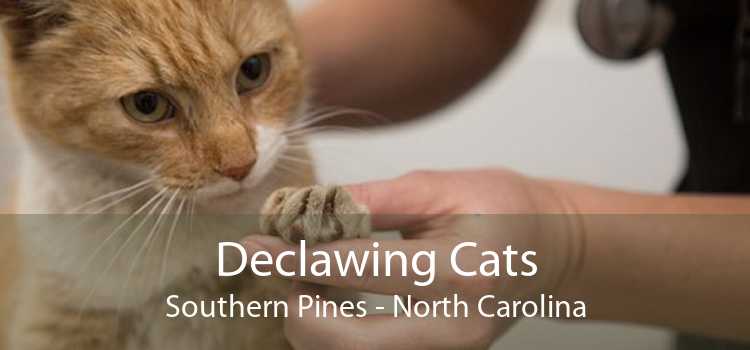 Declawing Cats Southern Pines Cosmetic, Feline, And Laser Declawing Cats